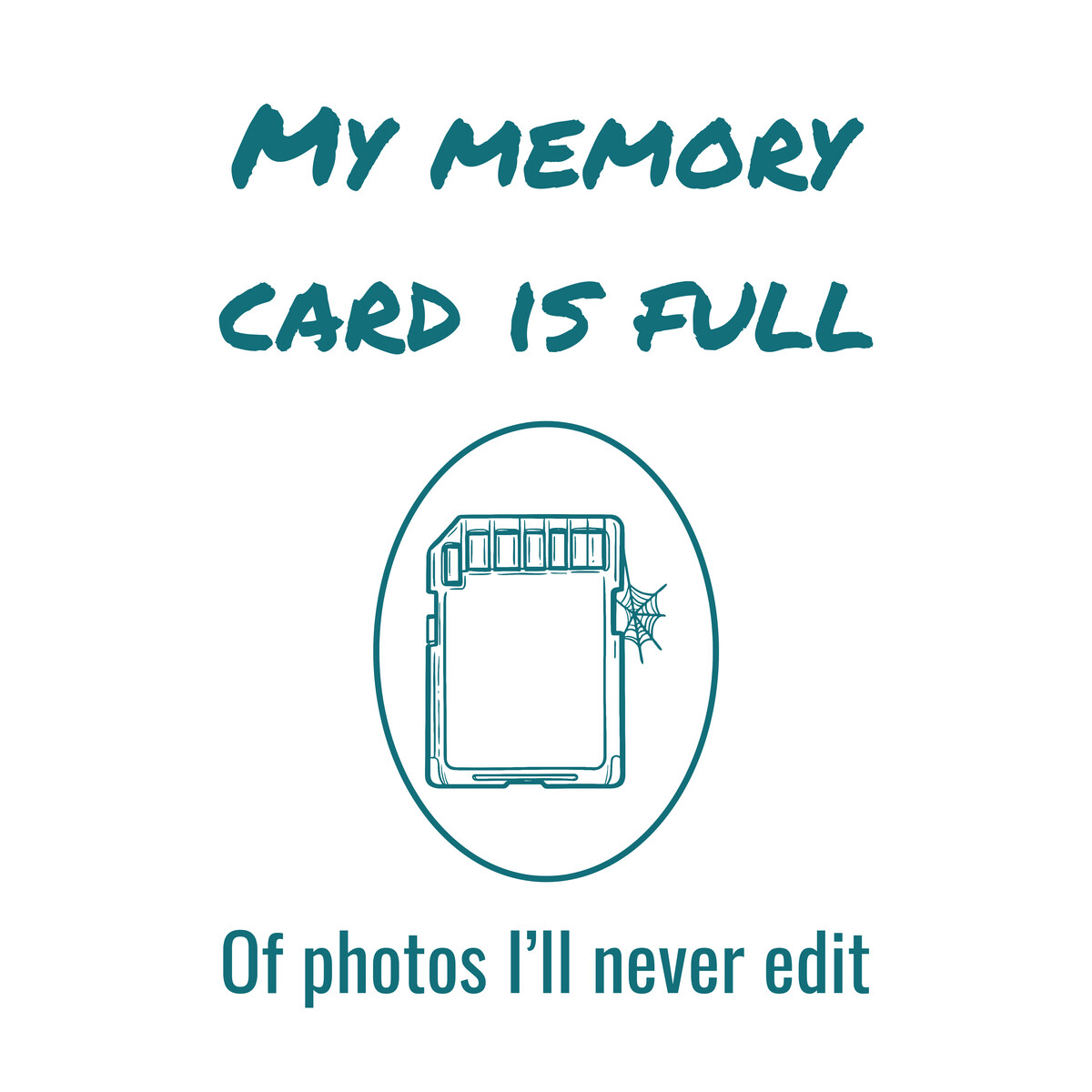 Memory Card With a Cobweb, Funny Gift for Photo Enthusiasts
