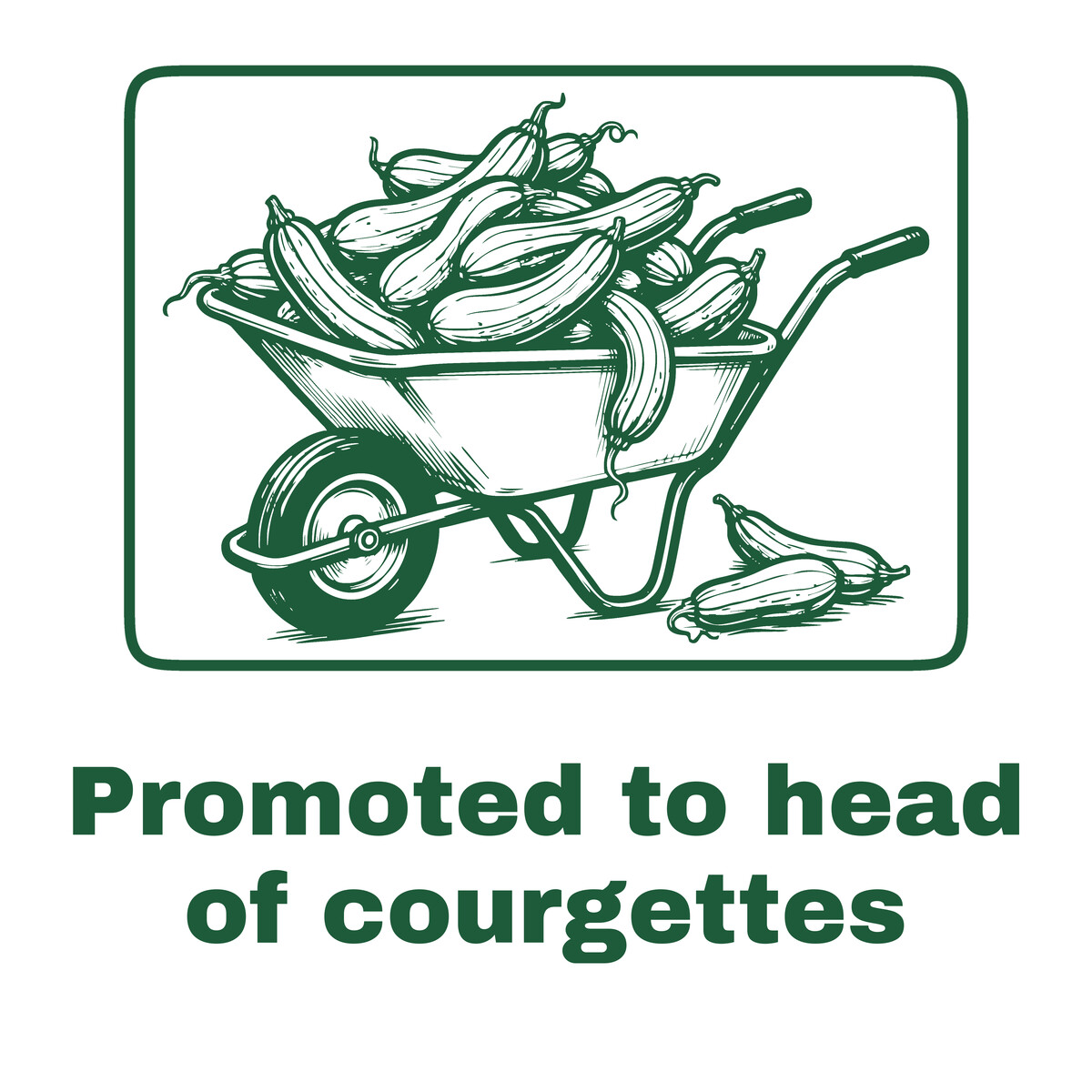 Wheelbarrow Full of Courgettes, Funny Allotment Gift for Retirees