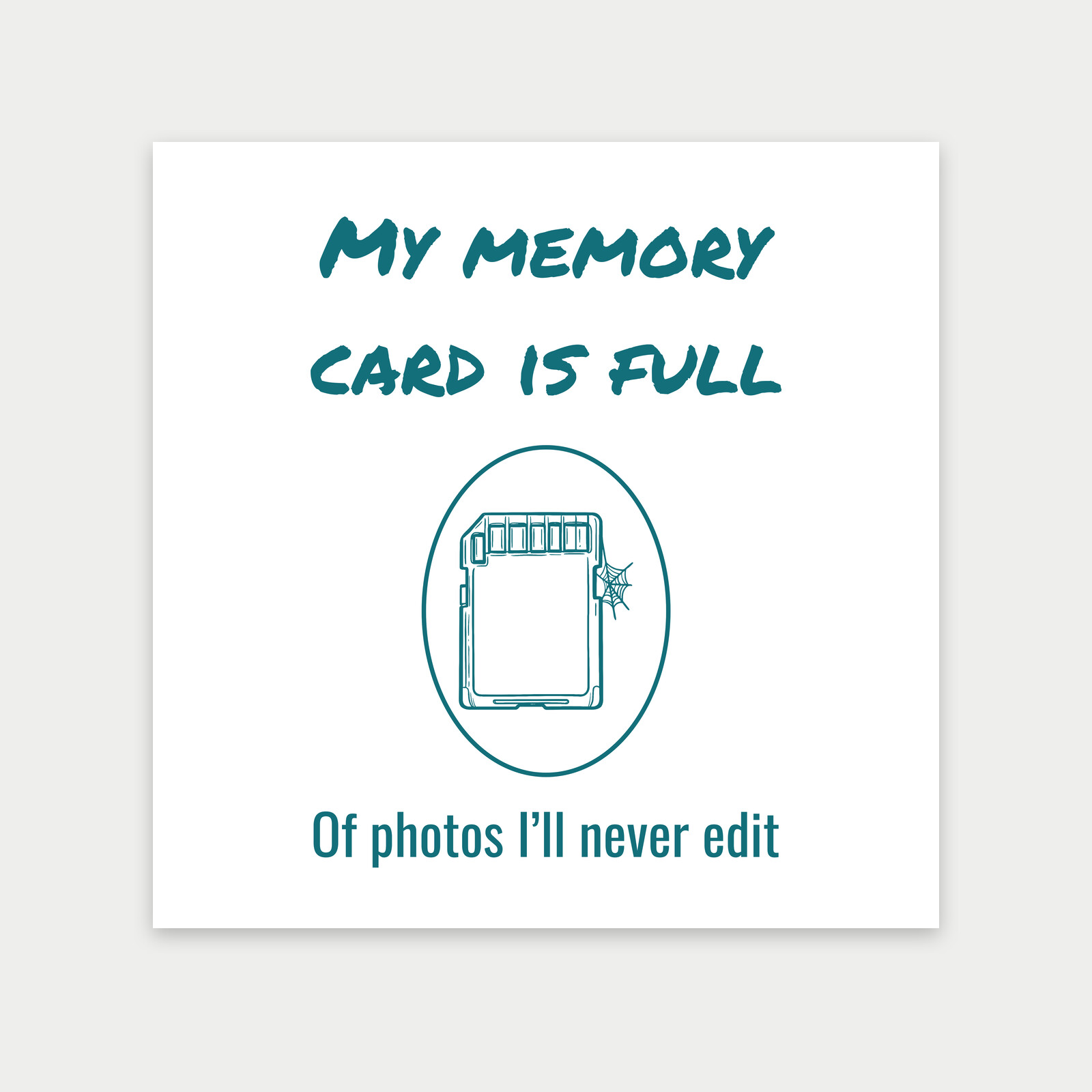 Memory Card With a Cobweb, Funny Gift for Photo Enthusiasts-Art Print
